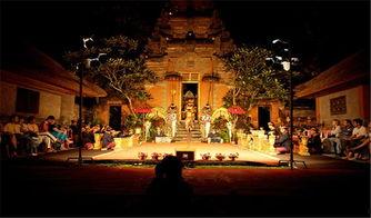 海王宫老板爆料视频大全  第3张